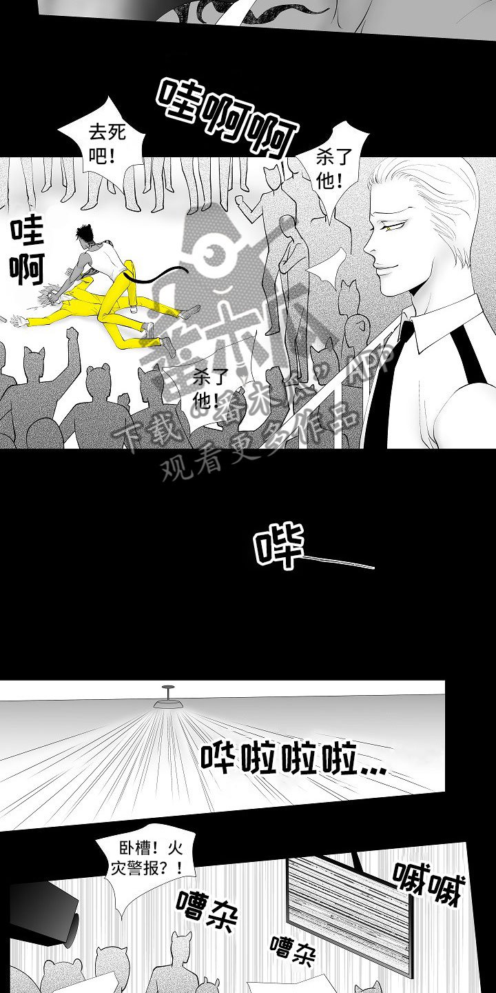第13章：重要的事