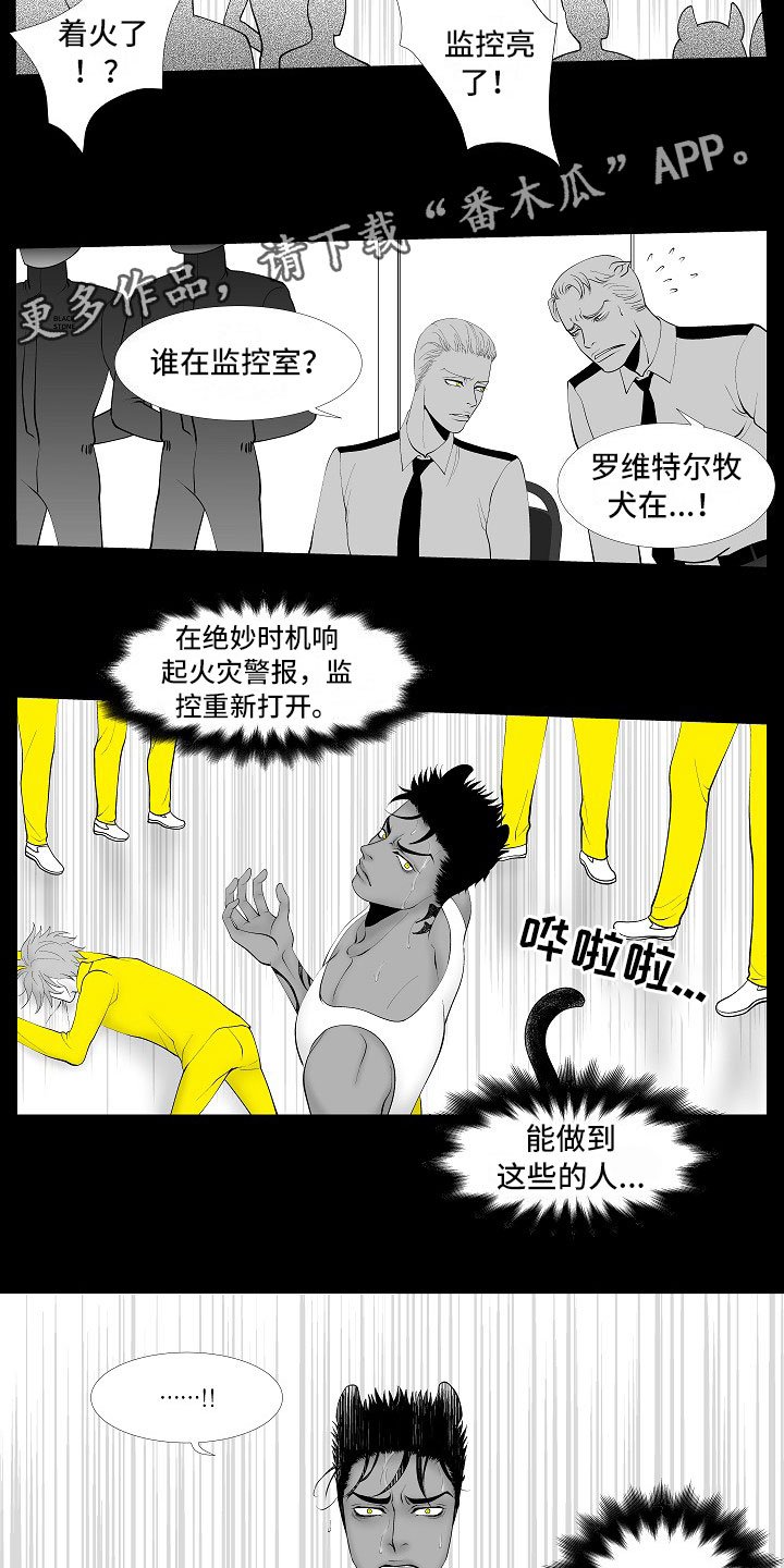 第13章：重要的事