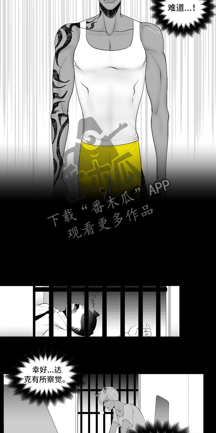 第13章：重要的事