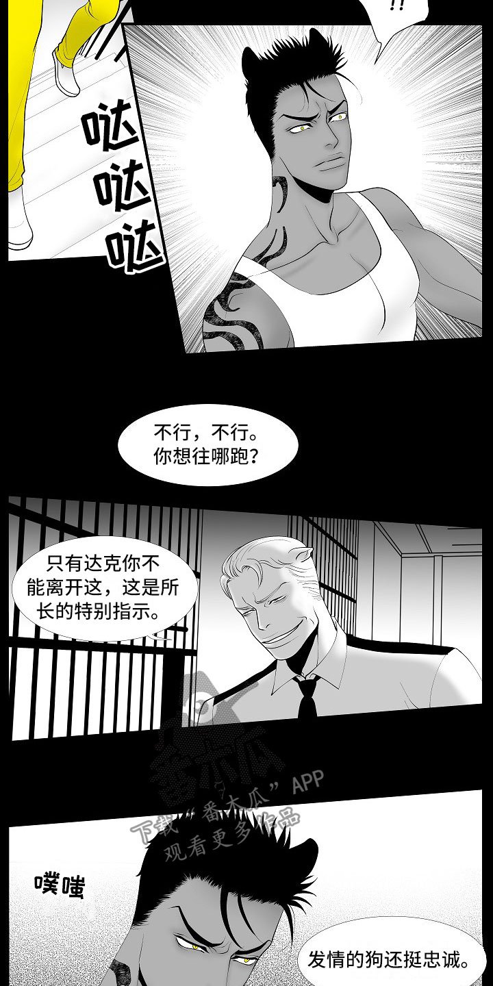 第13章：重要的事