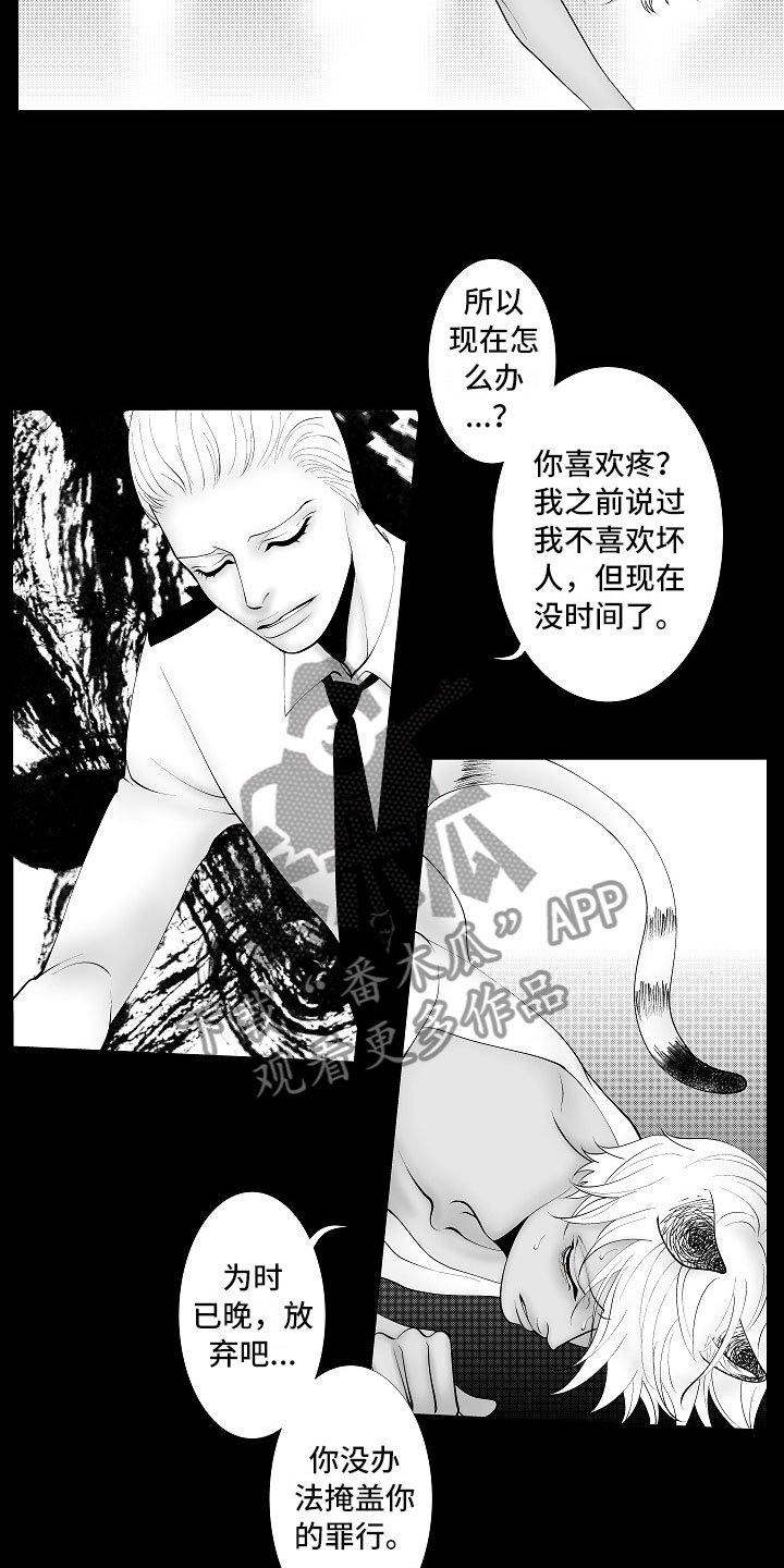 第13章：重要的事