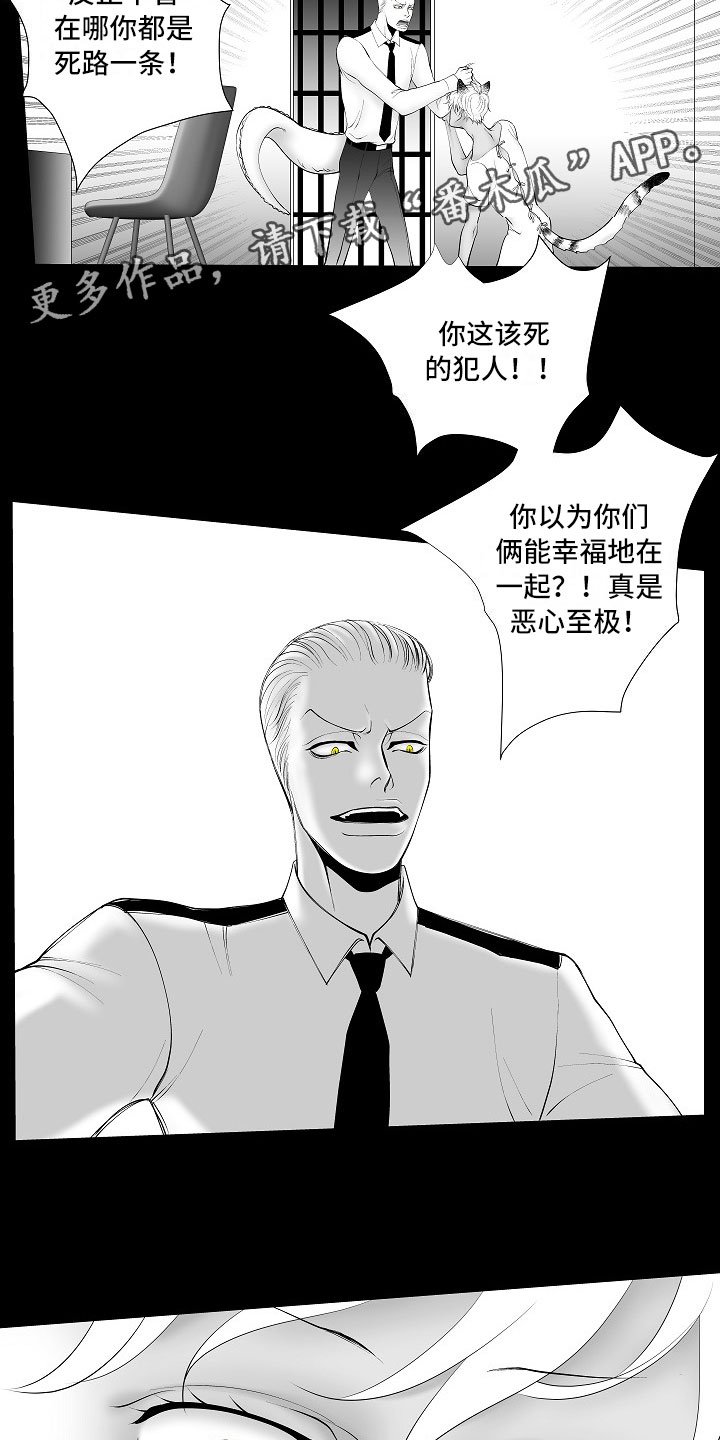 第13章：重要的事