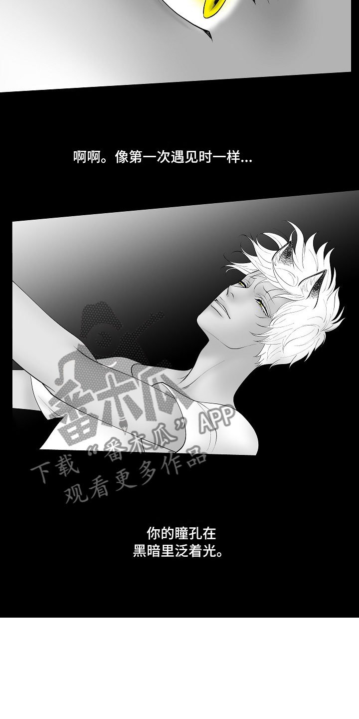 第14章：尘埃落定