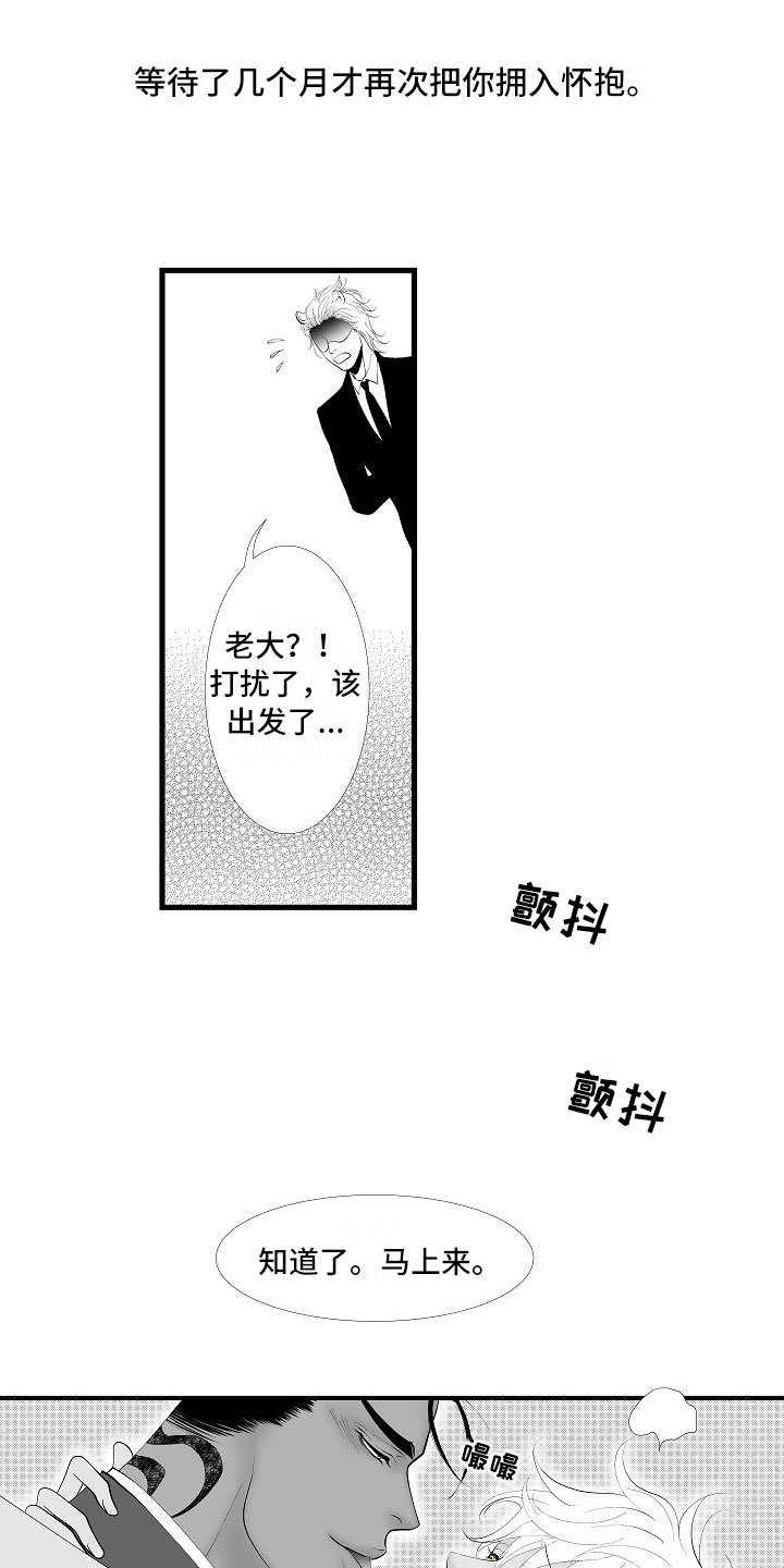 第14章：尘埃落定