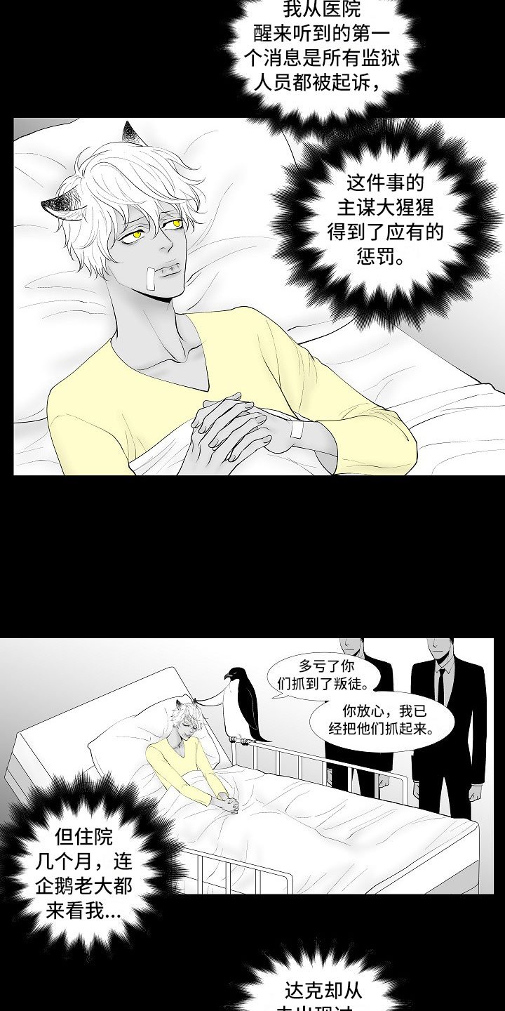 第14章：尘埃落定