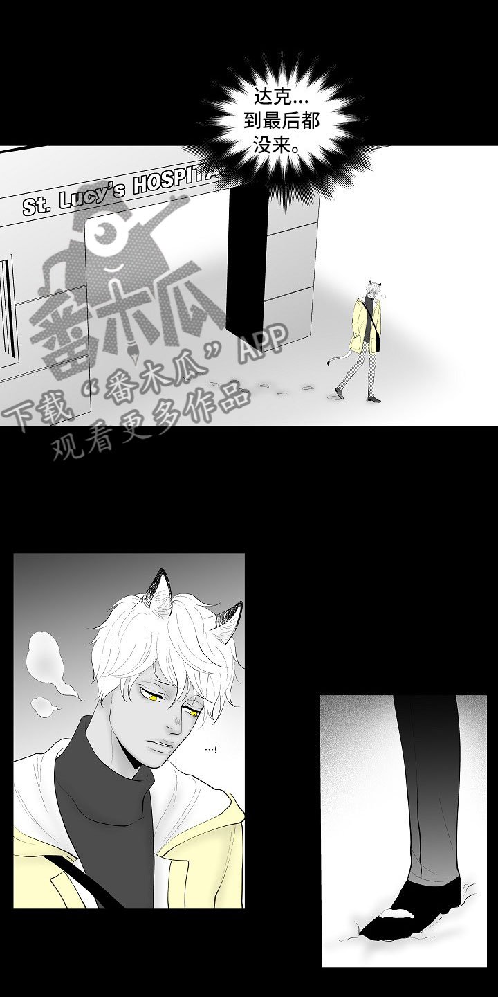 第14章：尘埃落定