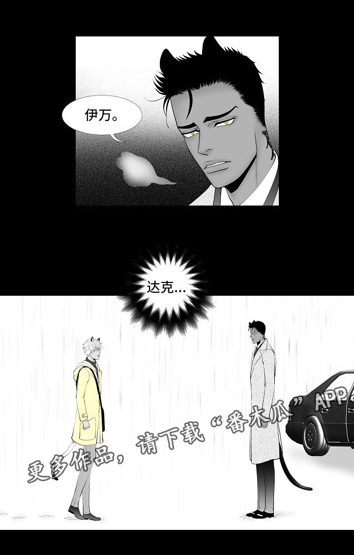 第14章：尘埃落定