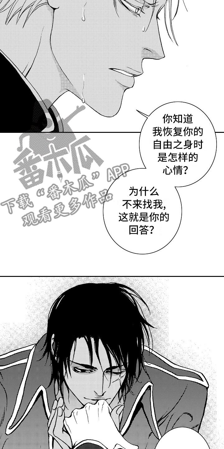 第18章：夜想曲：回答