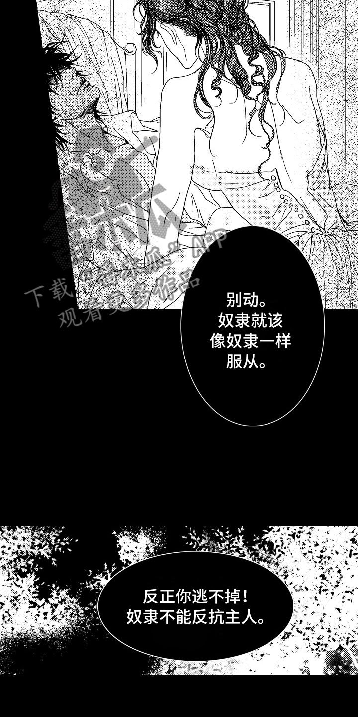 第20章：夜想曲：奴隶