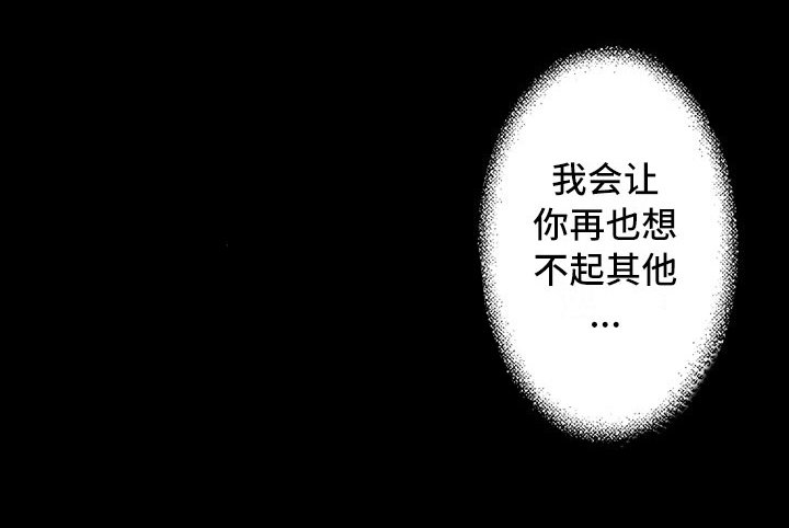 第21章：夜想曲：袭击