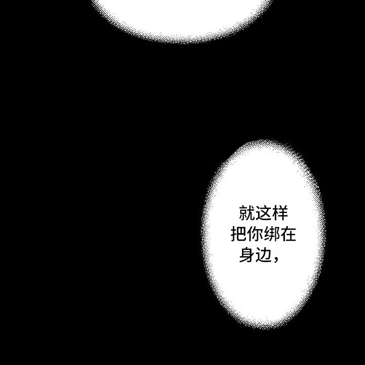 第21章：夜想曲：袭击