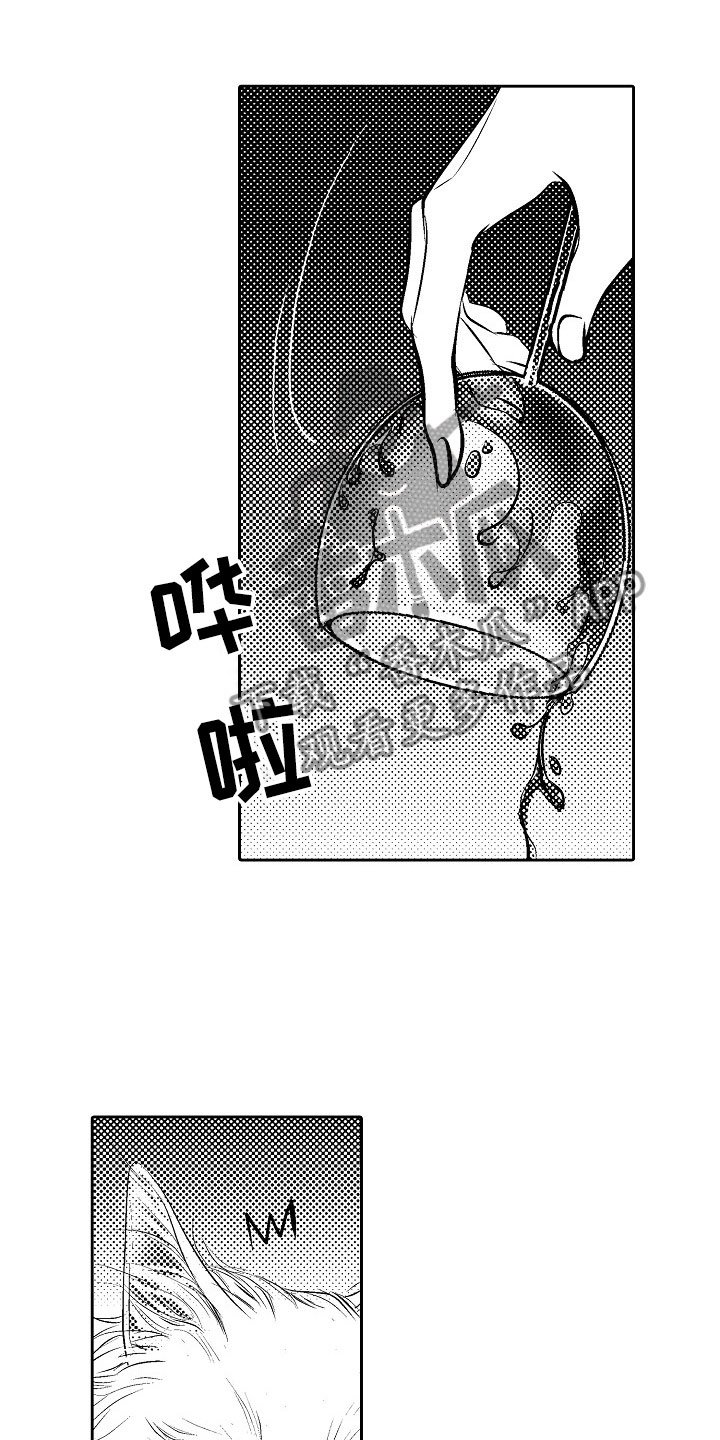 第26章：夜想曲：公主