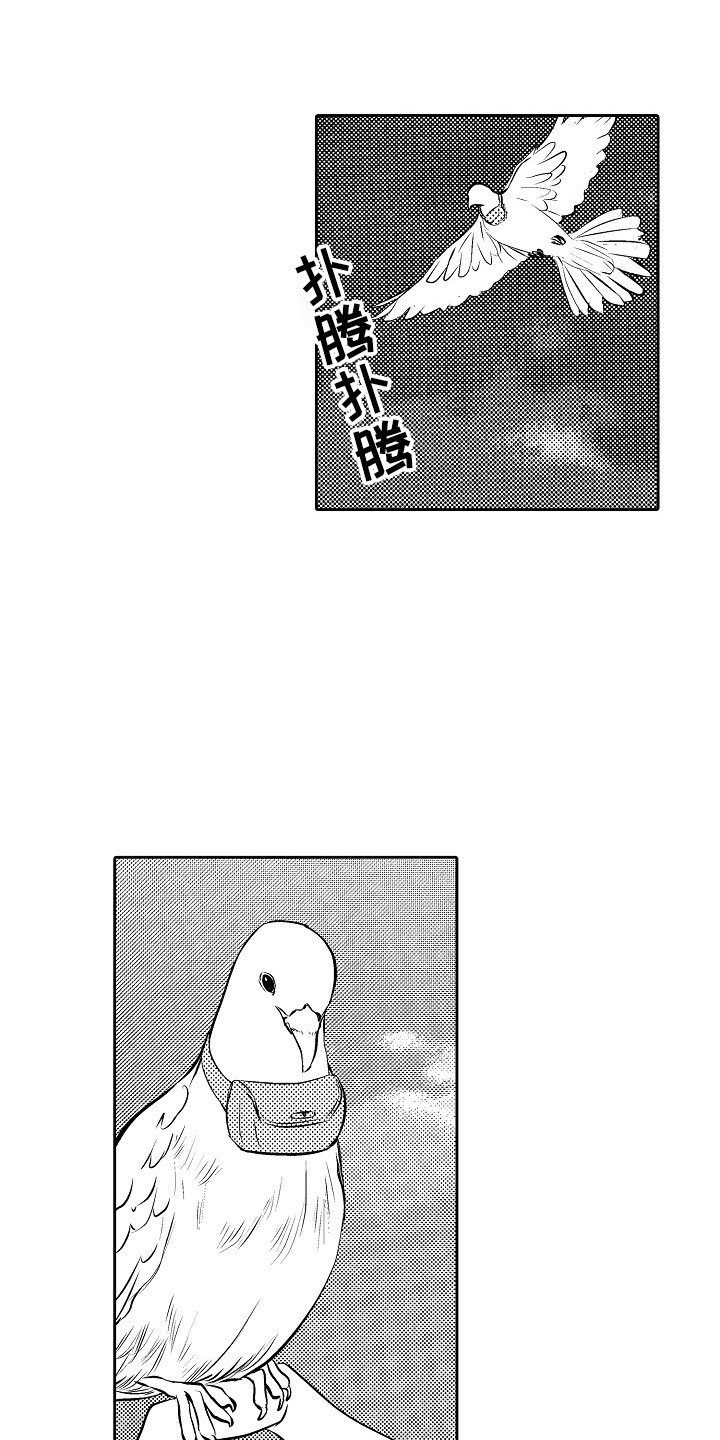 第28章：夜想曲：求助