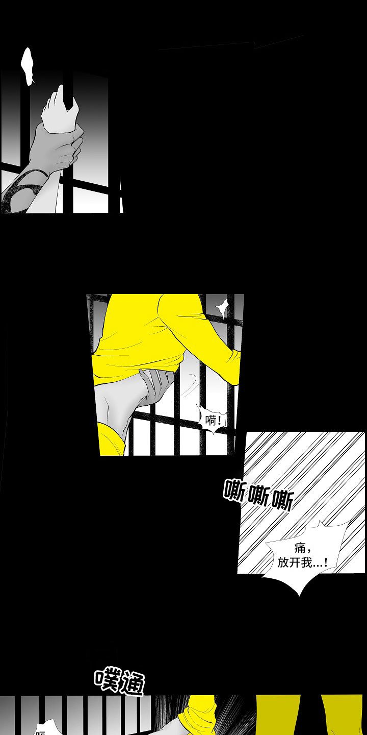 第3章：暗中观察