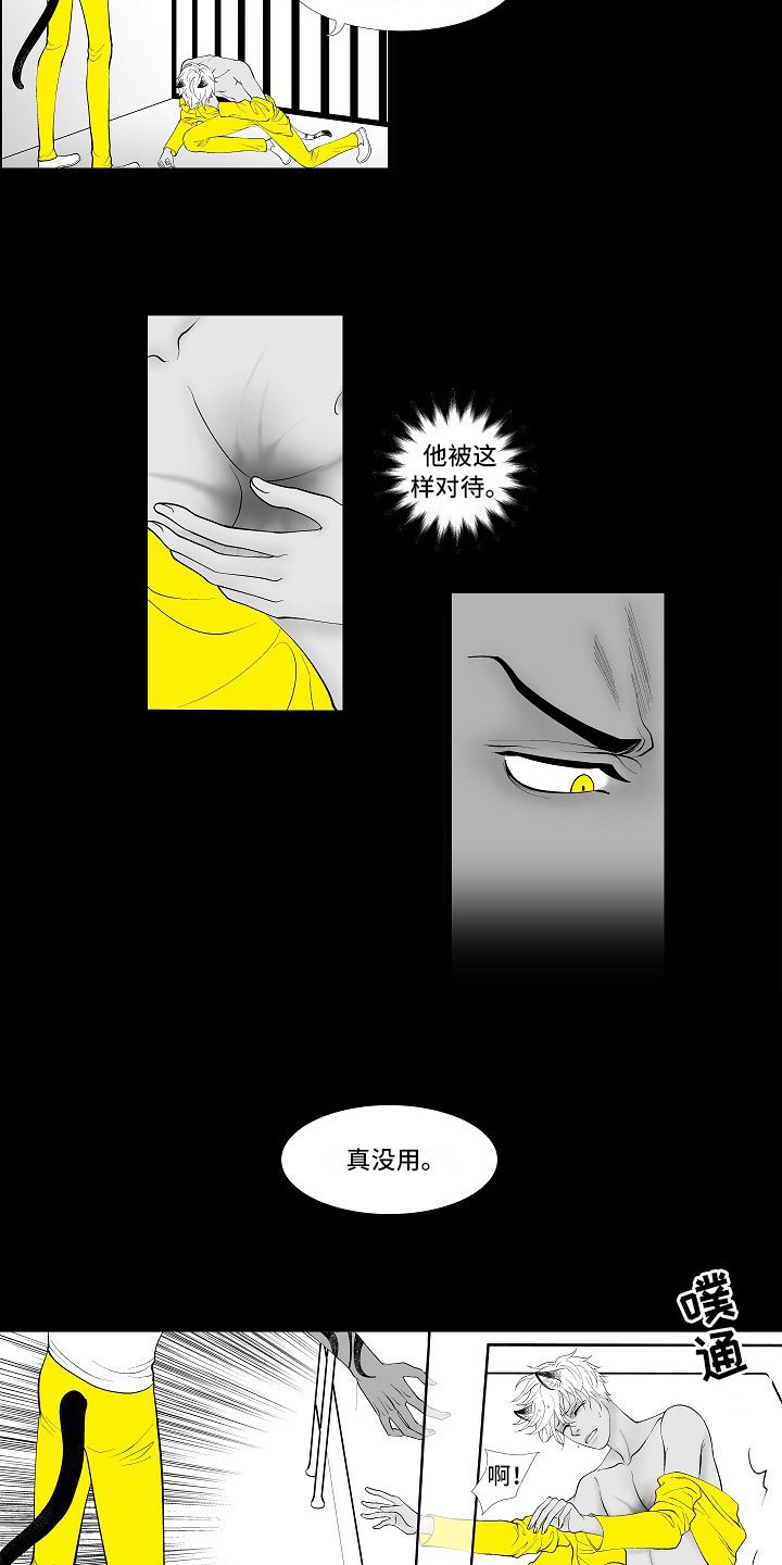 第3章：暗中观察
