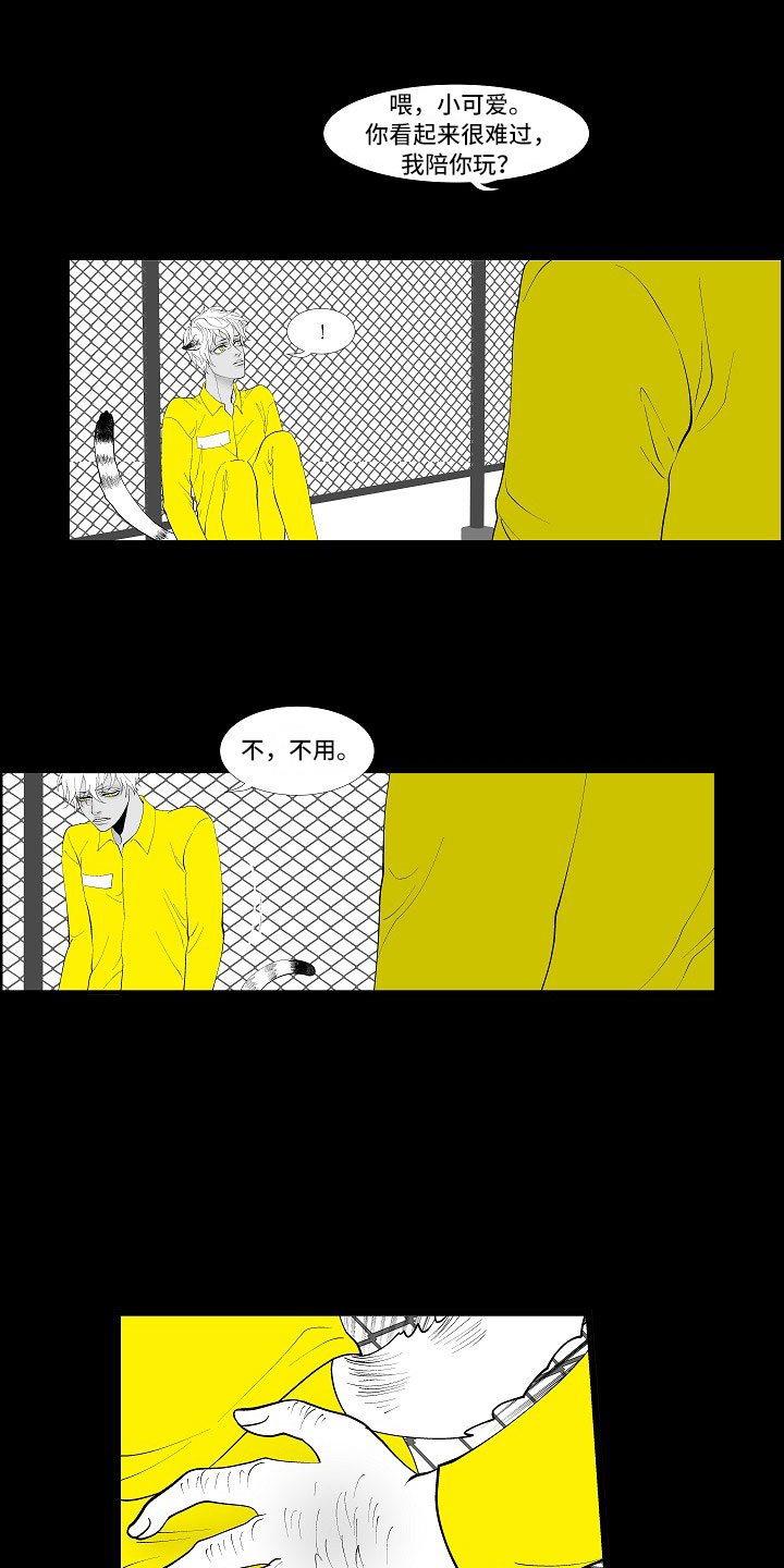 第3章：暗中观察