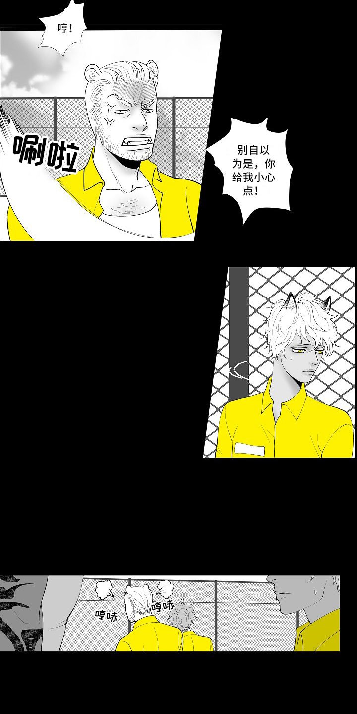 第3章：暗中观察