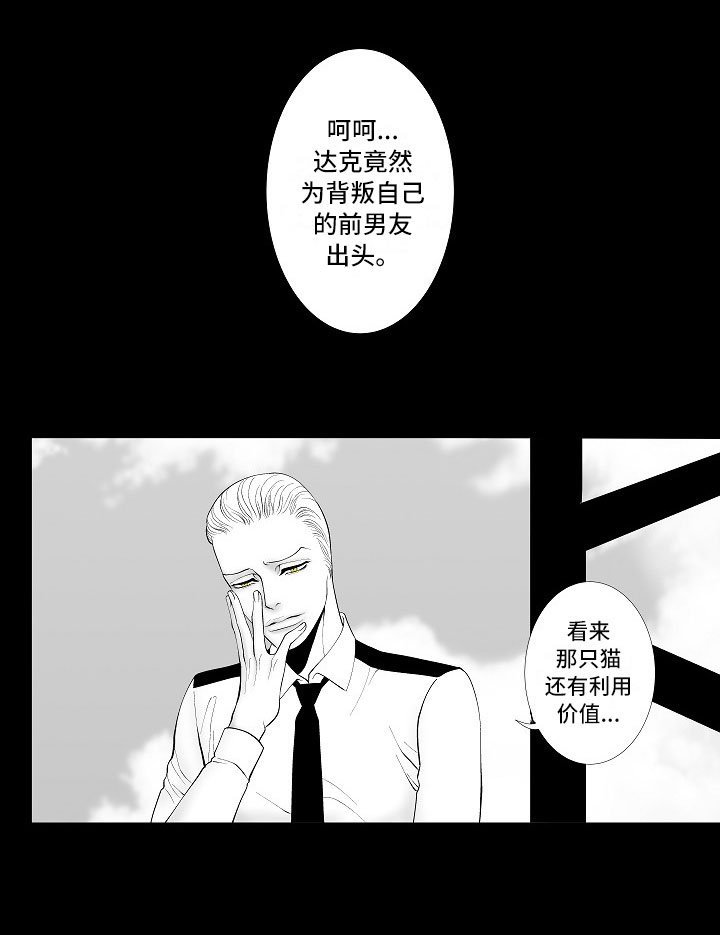 第3章：暗中观察
