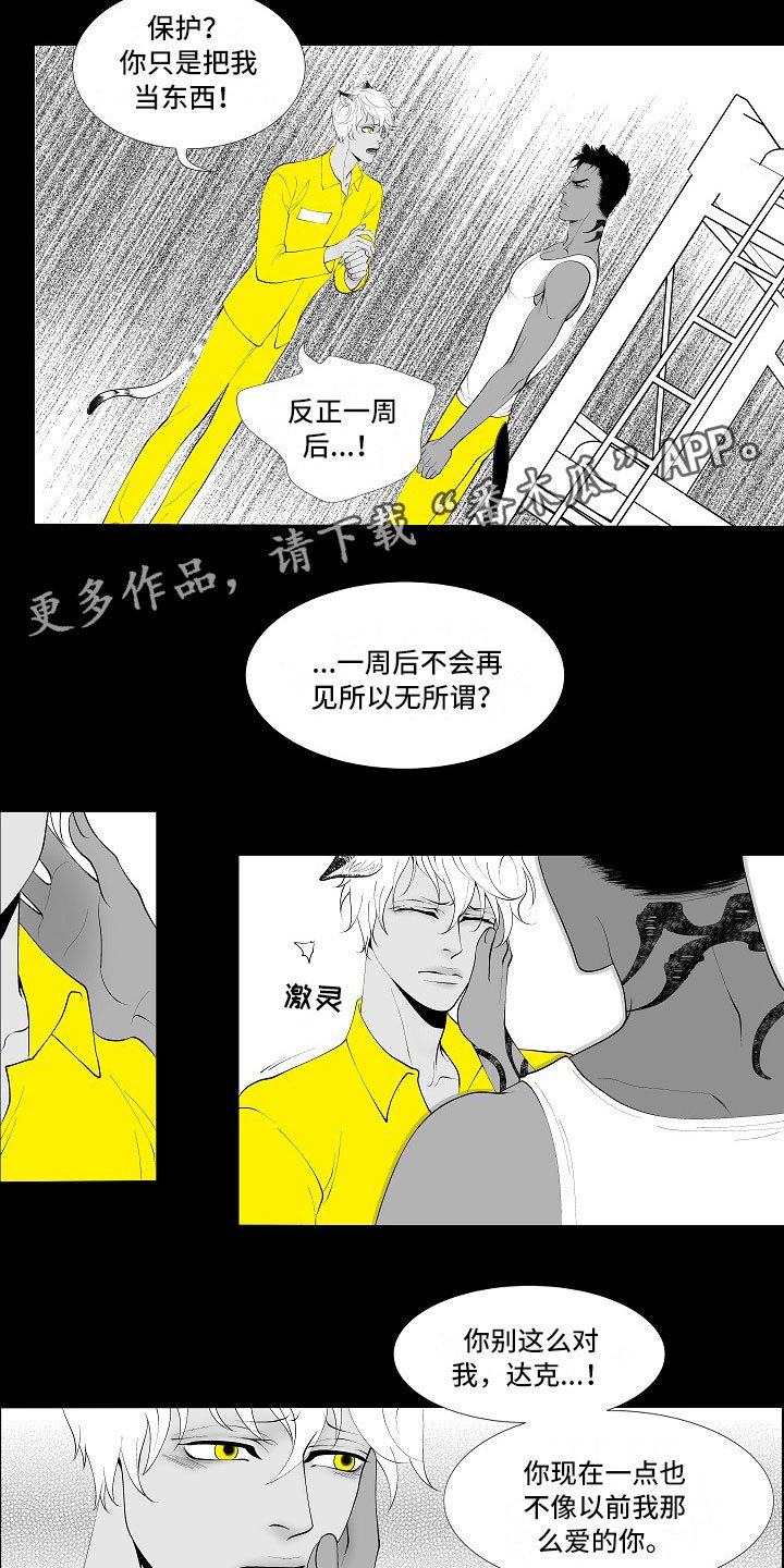 第4章：被逼疯了