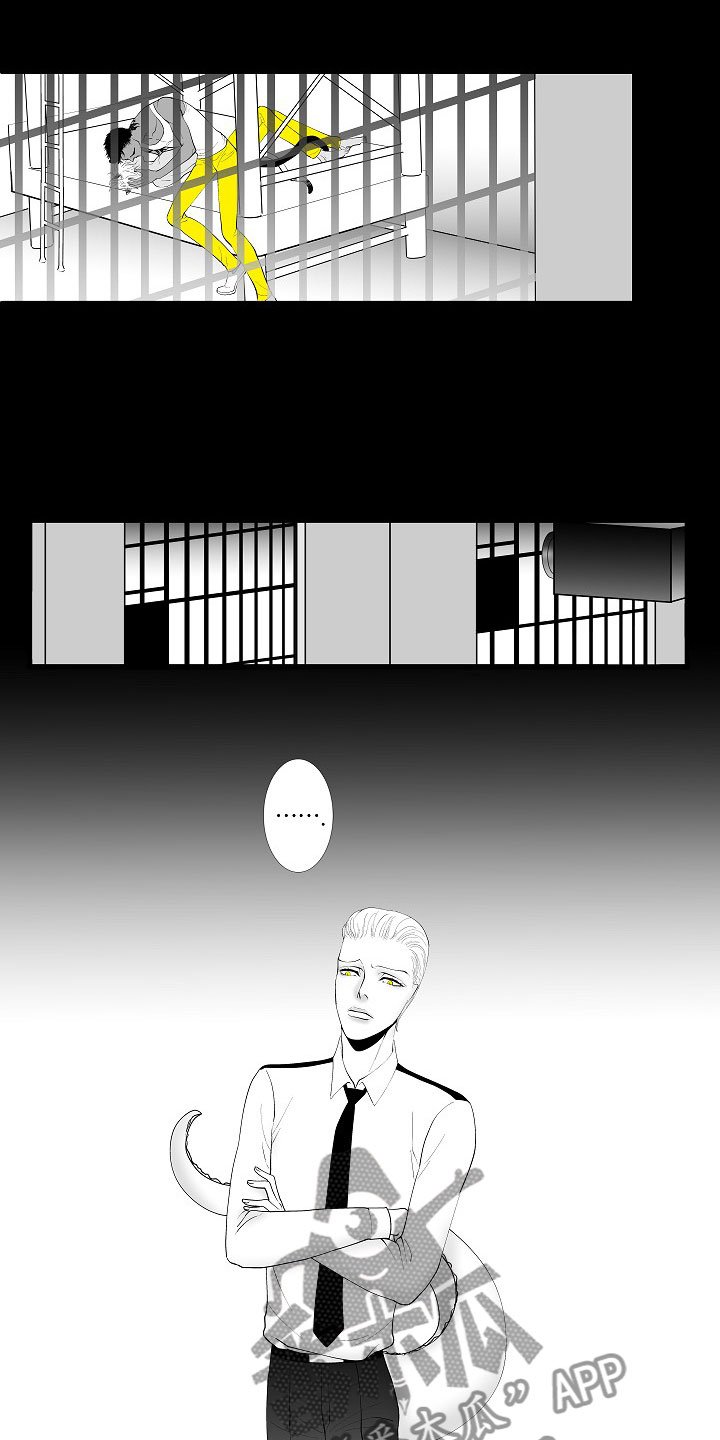 第5章：横插一手