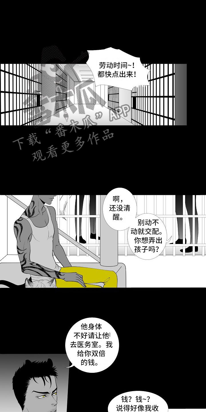 第5章：横插一手