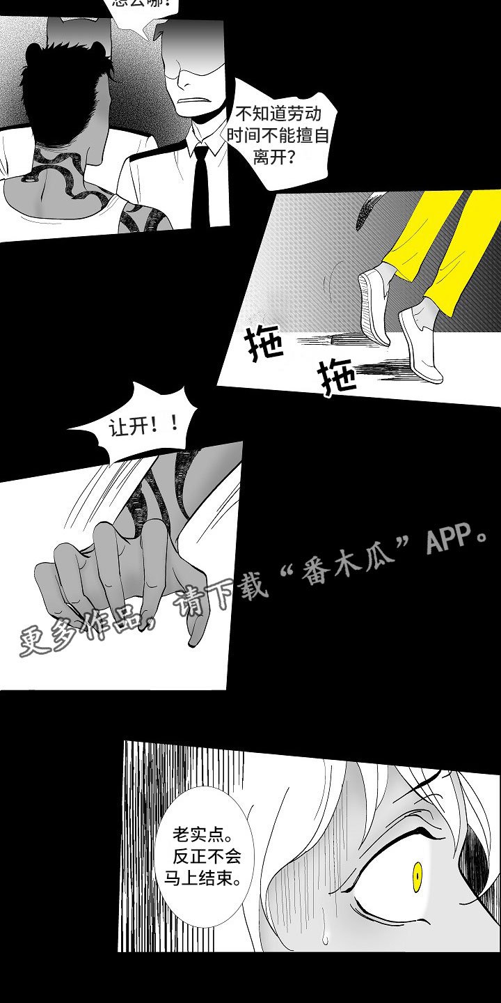第5章：横插一手