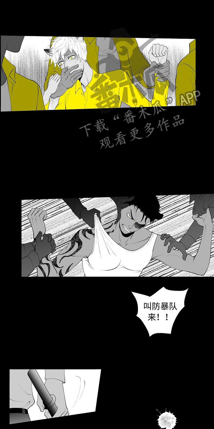 第6章：奋起反抗