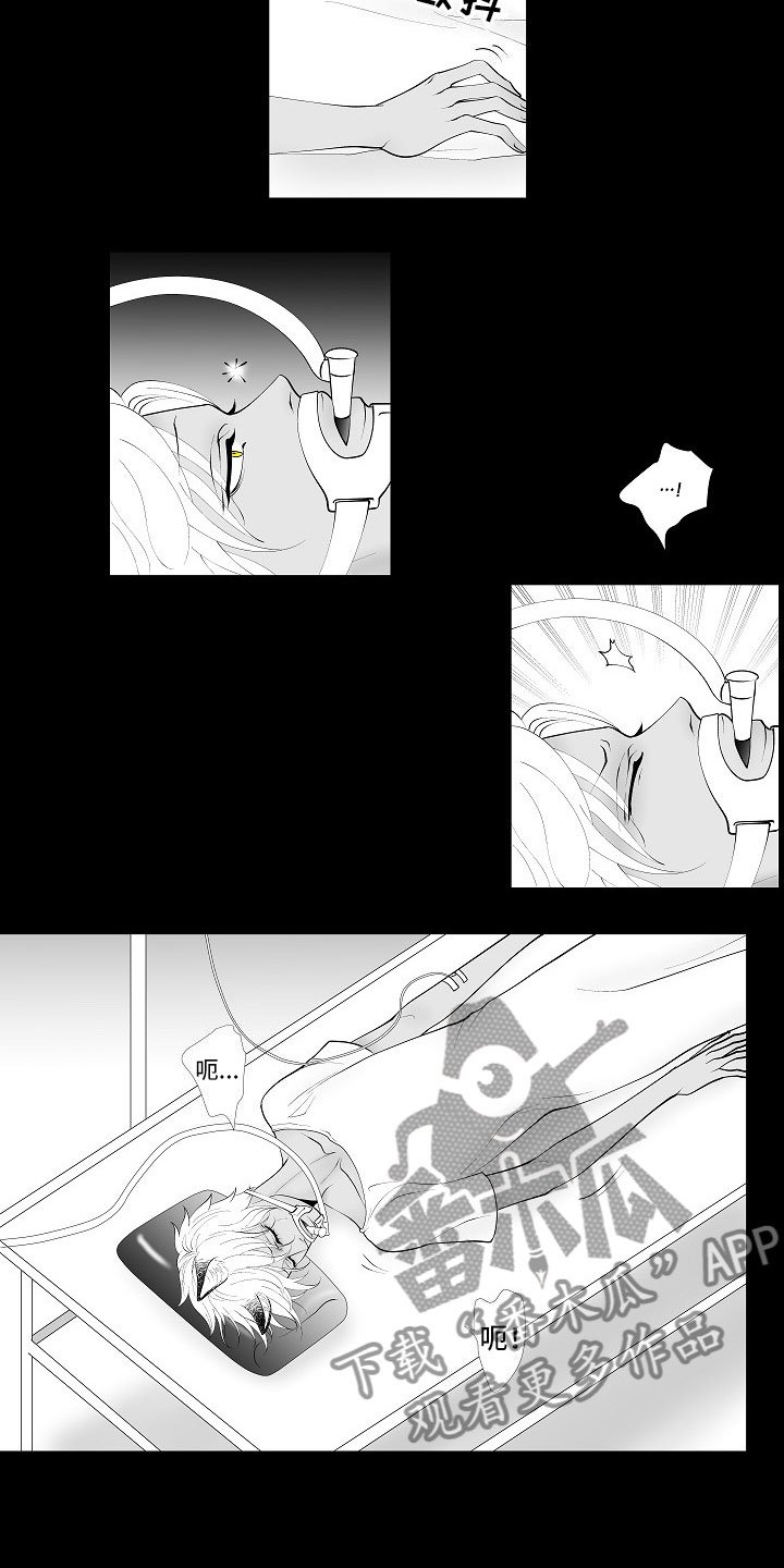 第9章：律师电话