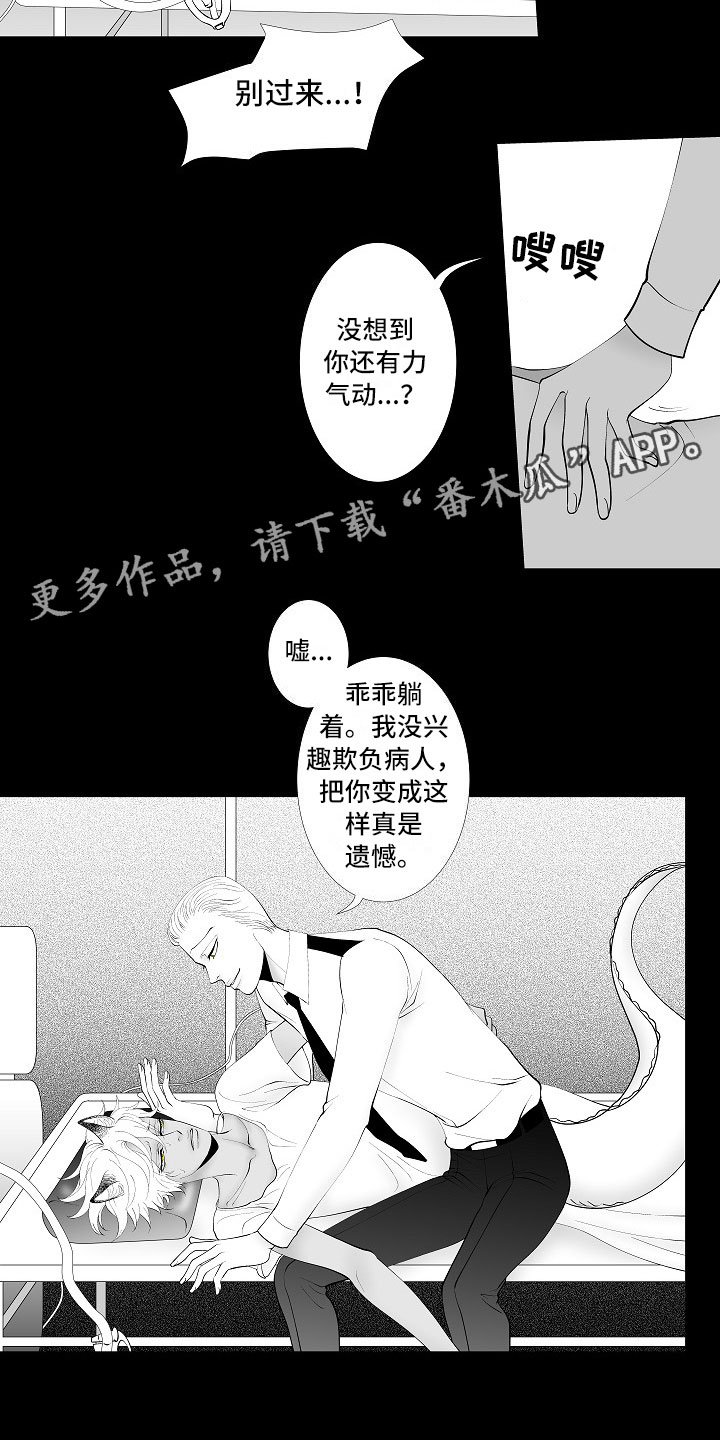 第9章：律师电话