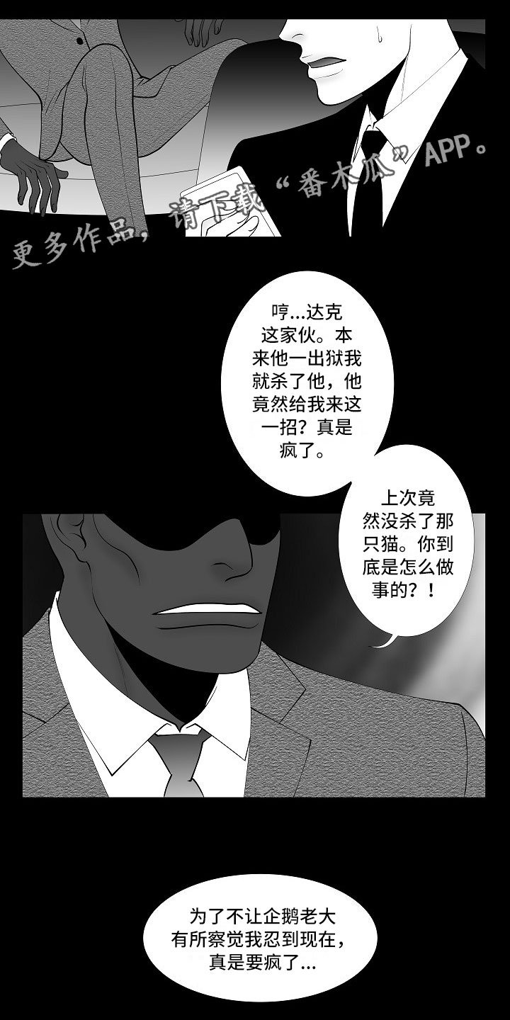 第9章：律师电话