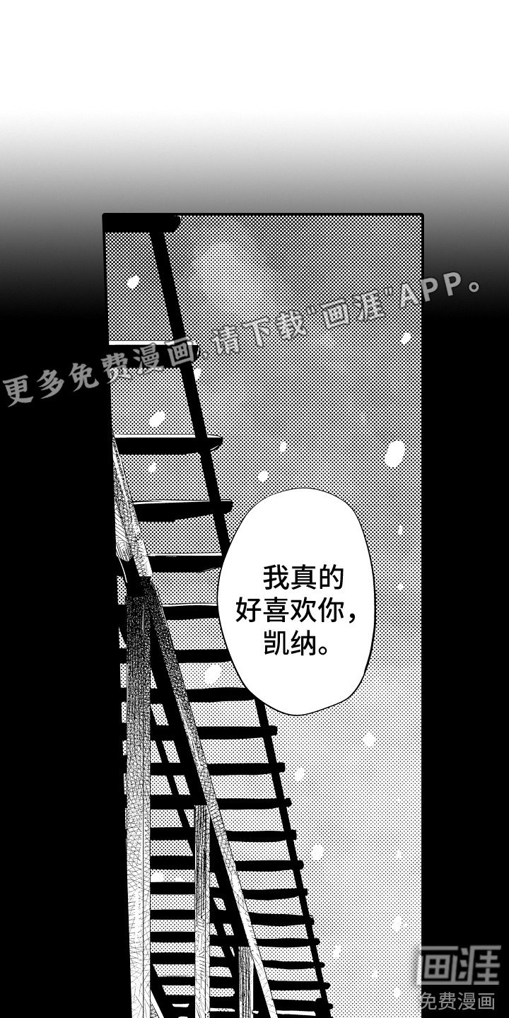 第16章：彼此的感情