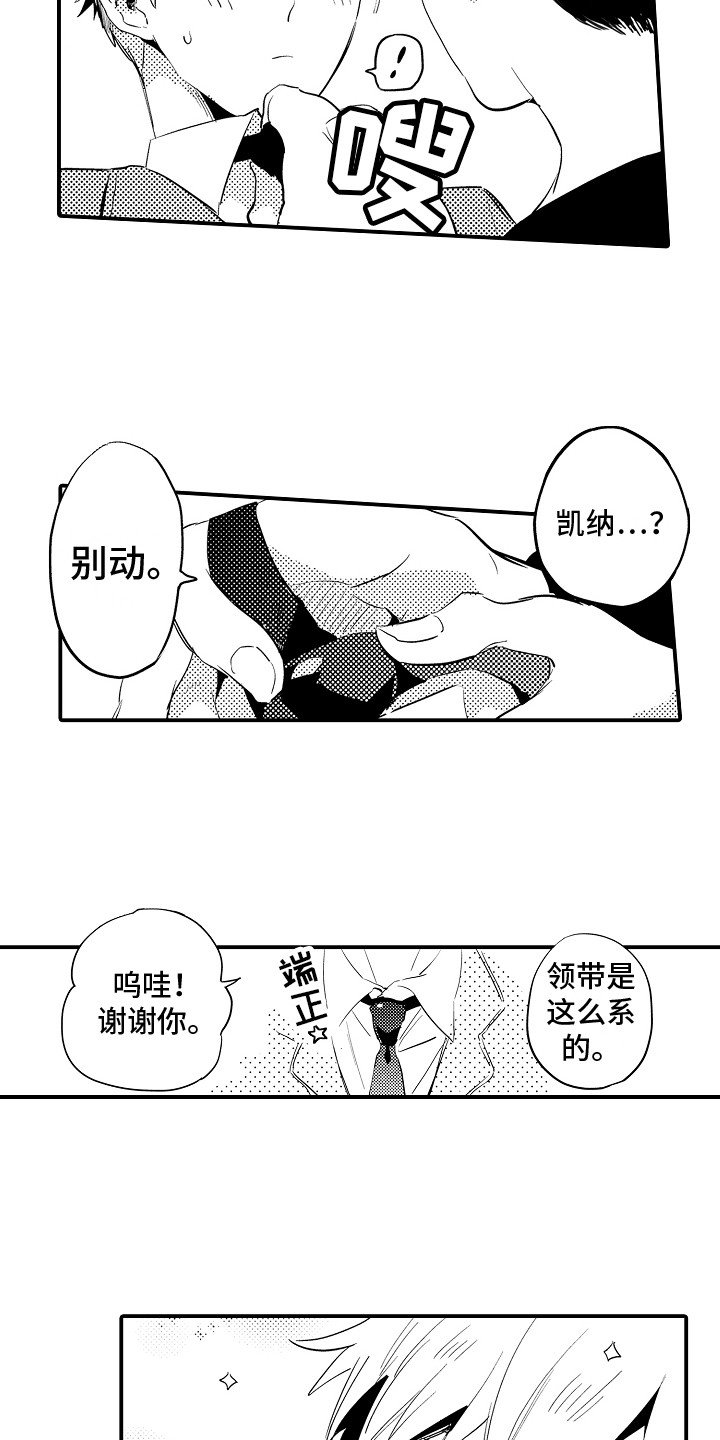 第3章：困惑