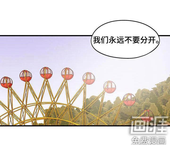 第31章：永远不要分开