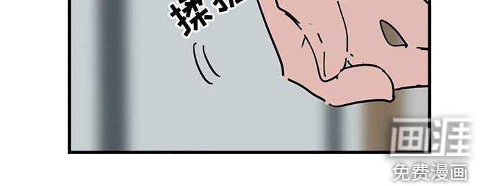 第44章：我想报答你