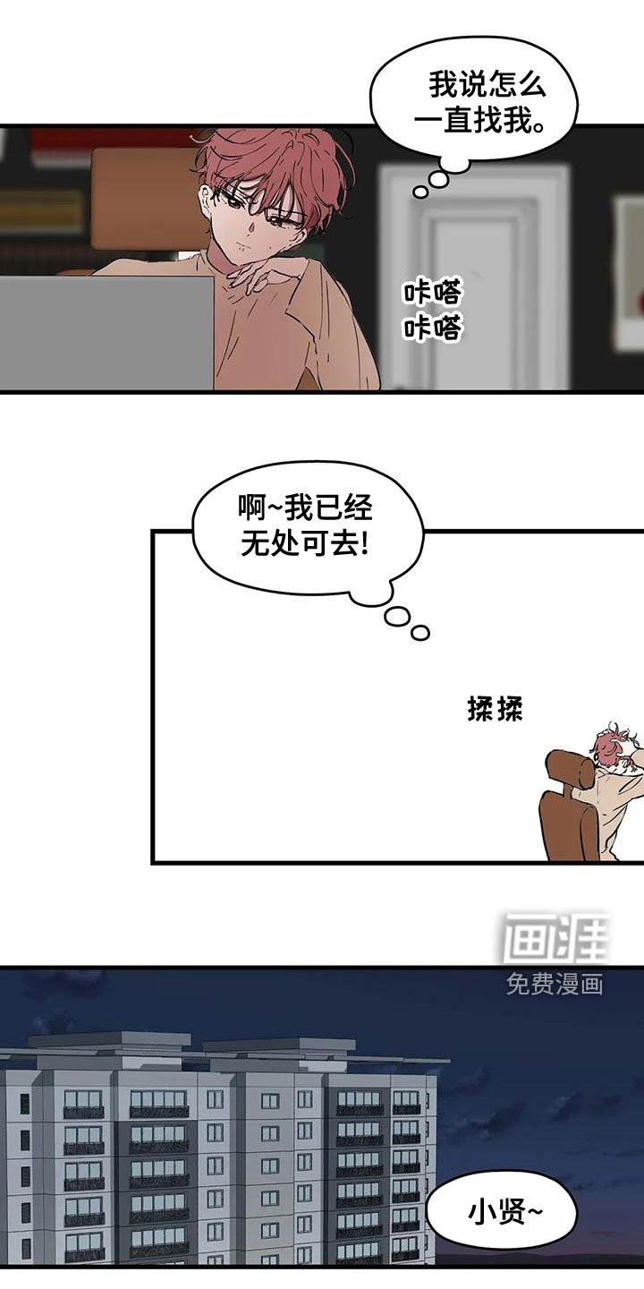 第51章：打扰