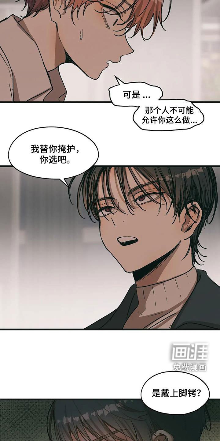 第71章：选择