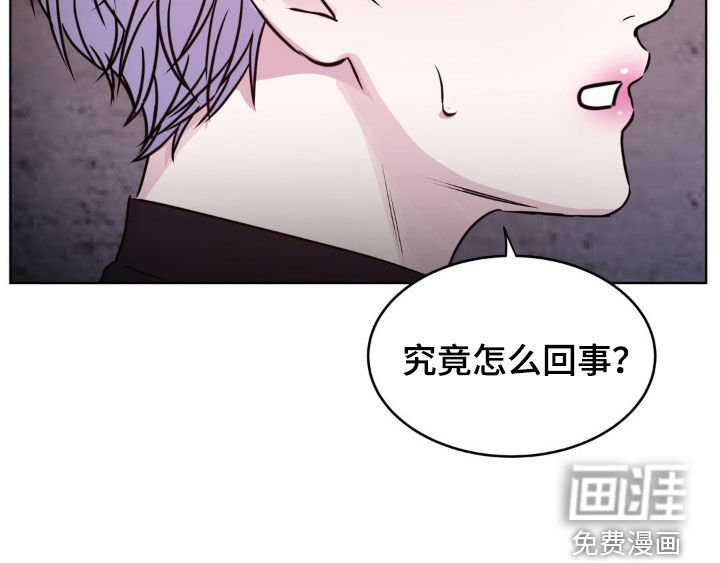 第108章：【第二季】是因为你