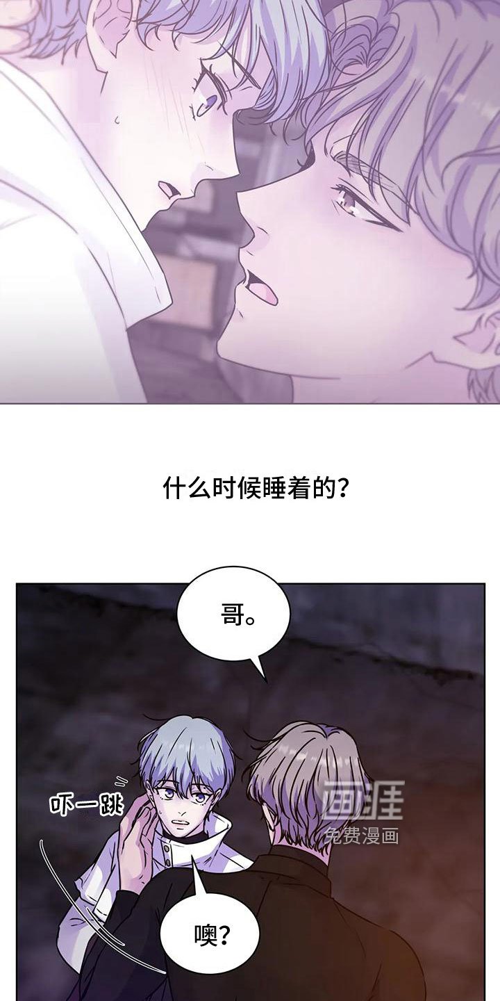 第13章：食物