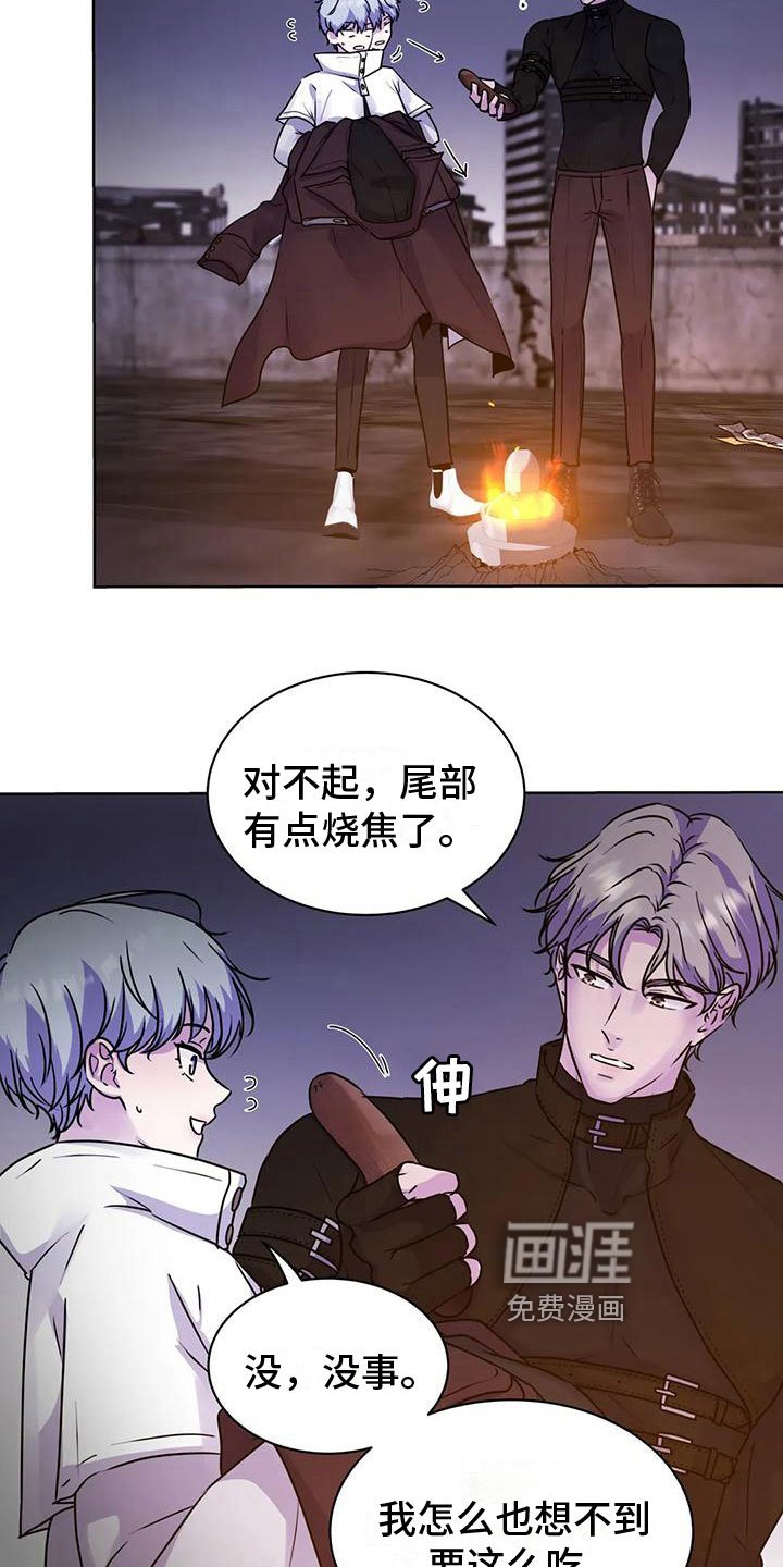 第13章：食物