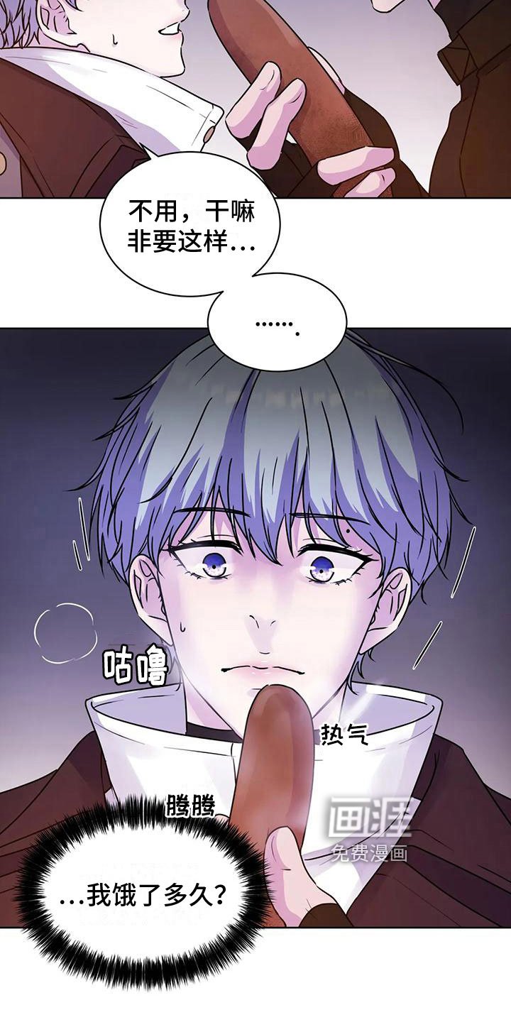 第13章：食物