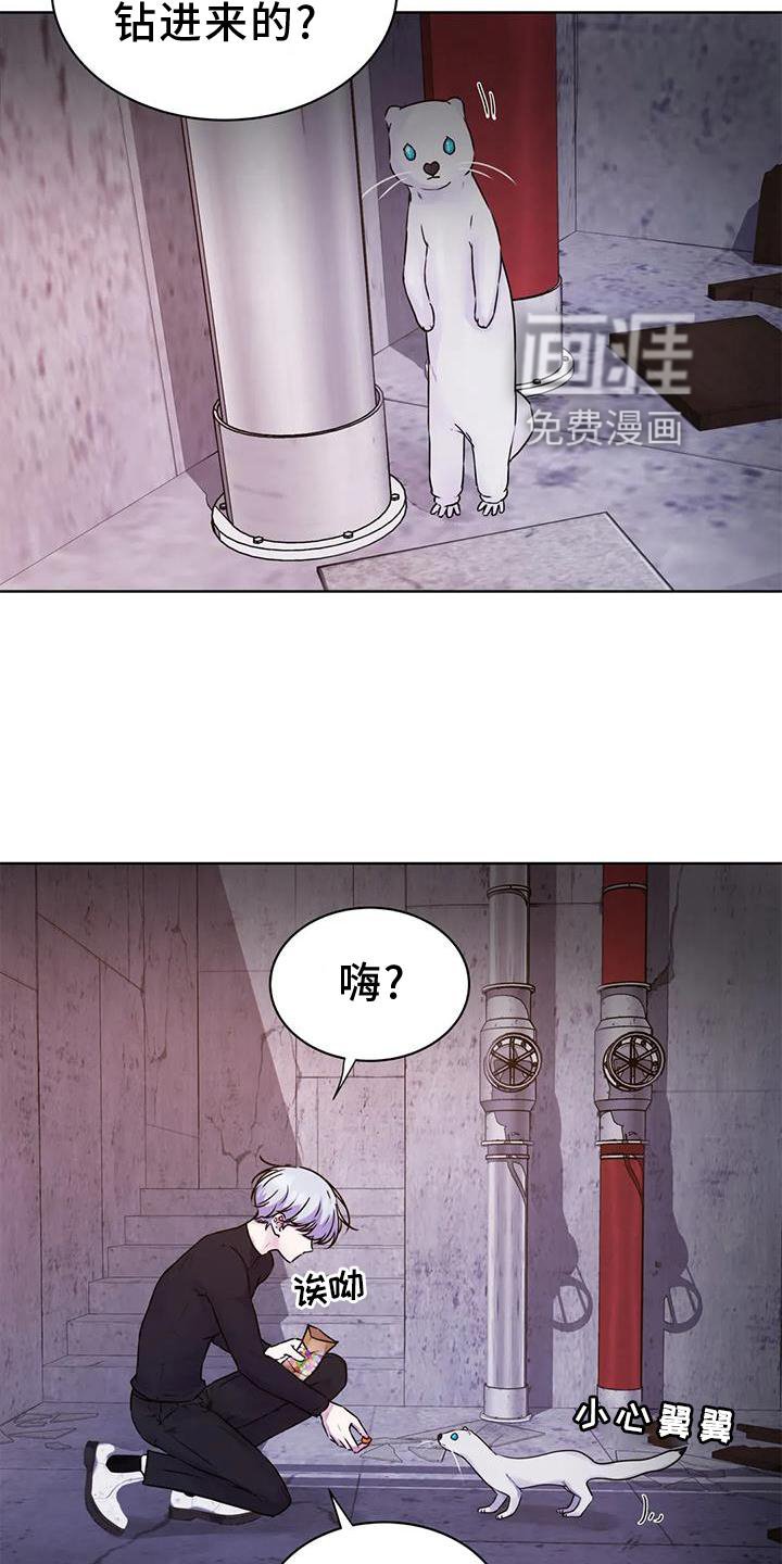 第27章：头晕