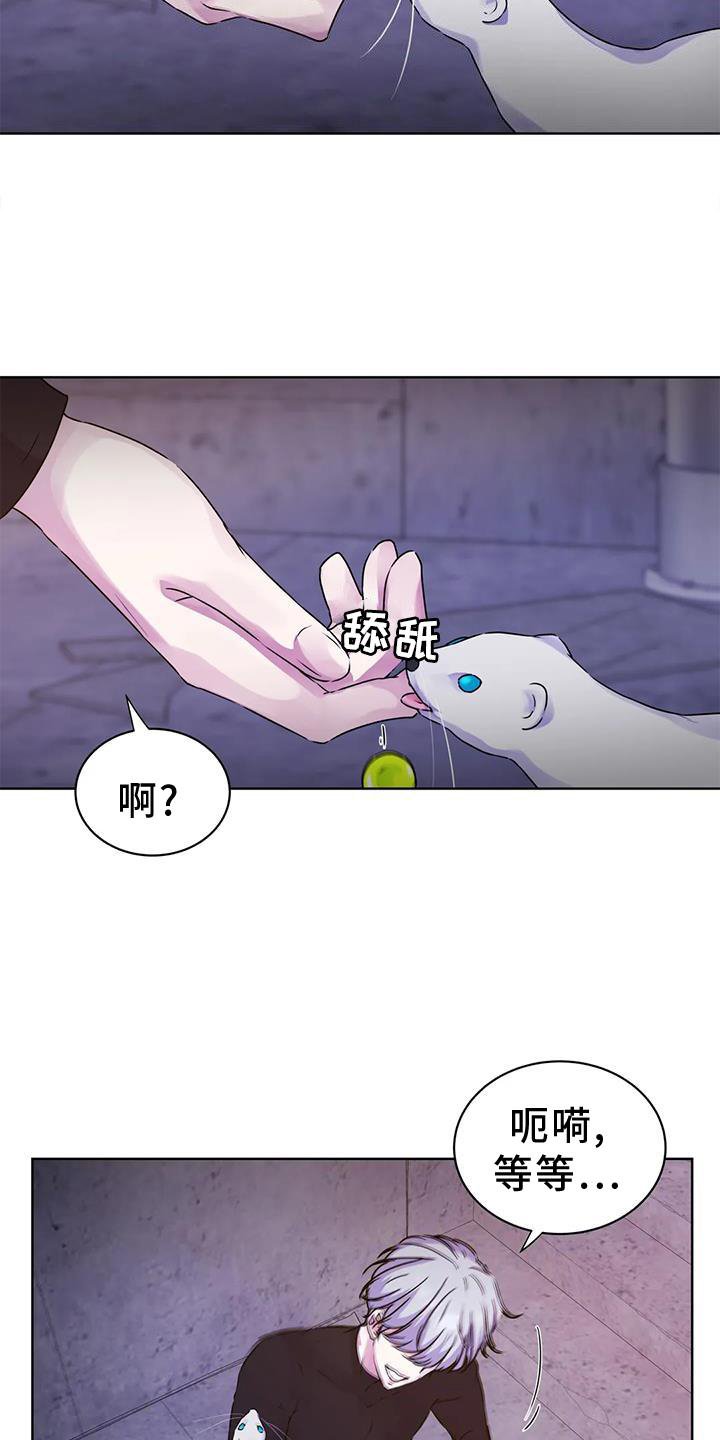 第27章：头晕