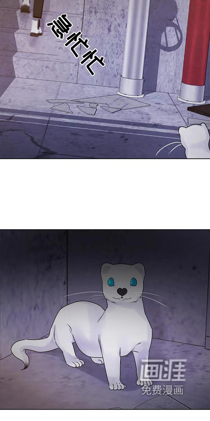 第27章：头晕