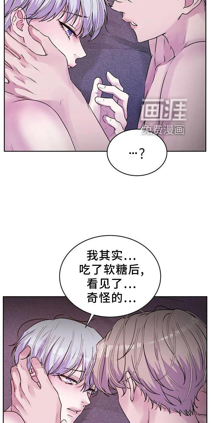 第29章：幻觉