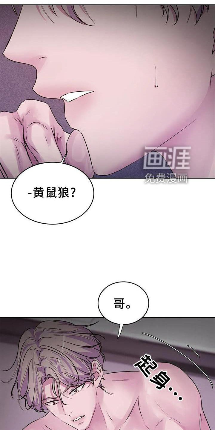 第29章：幻觉