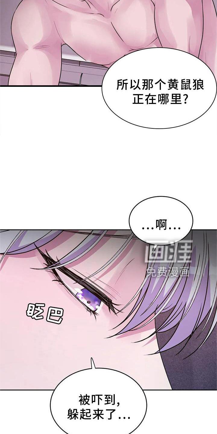 第29章：幻觉