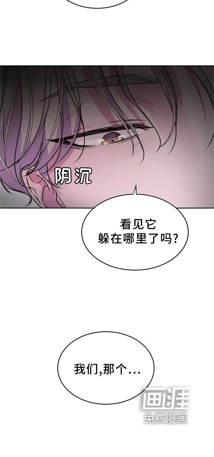 第29章：幻觉