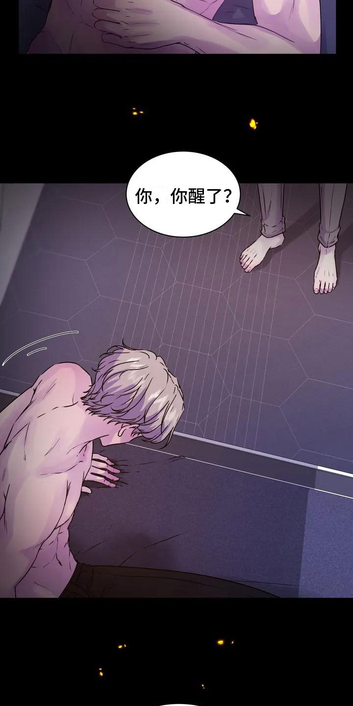 第3章：固执