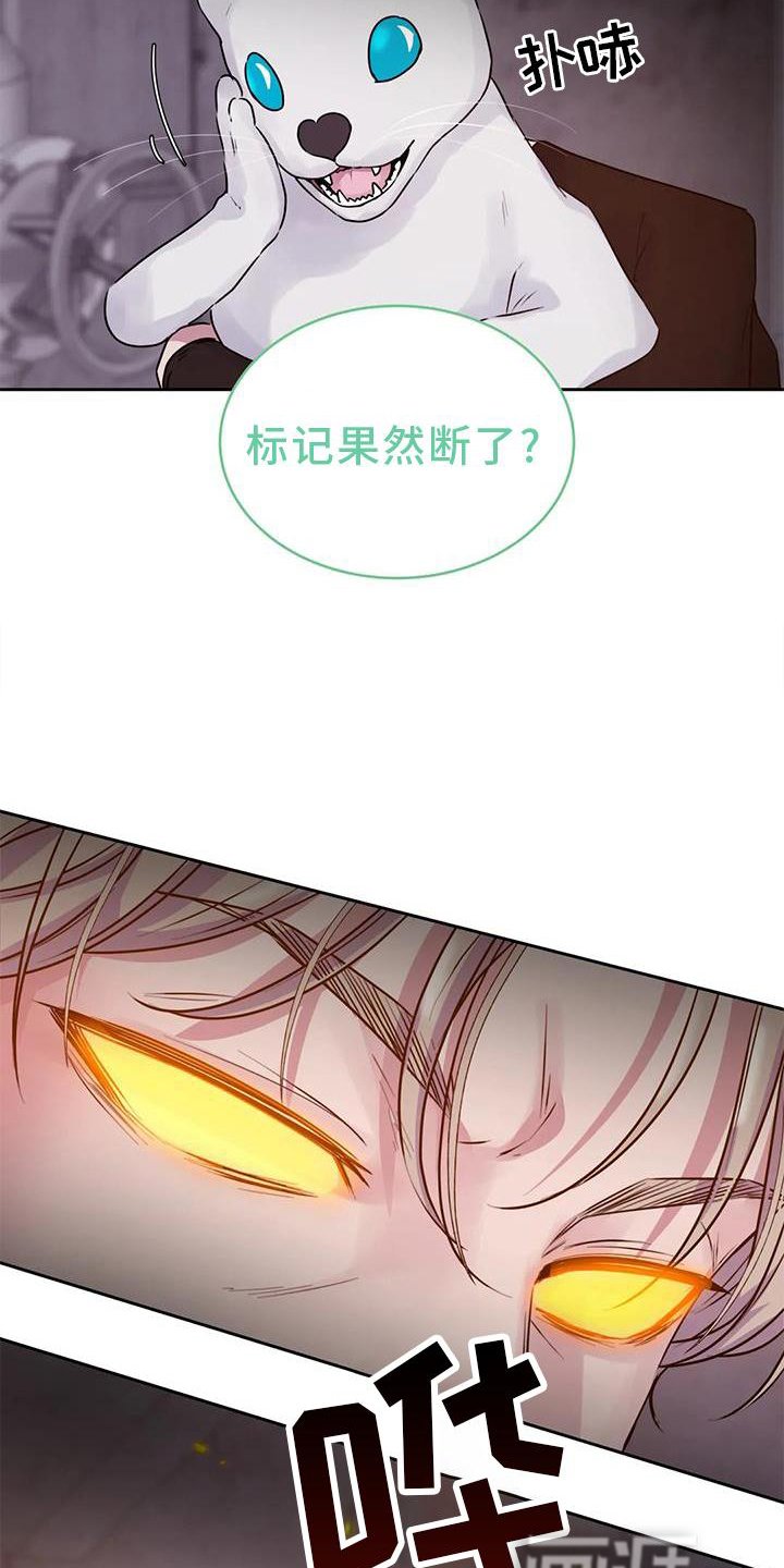 第30章：醒了