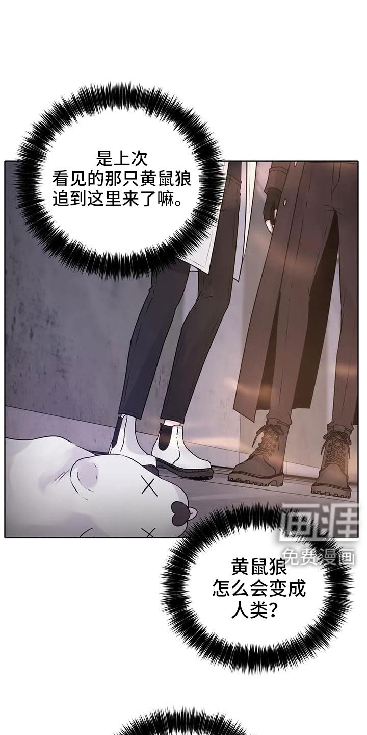 第38章：该结束了